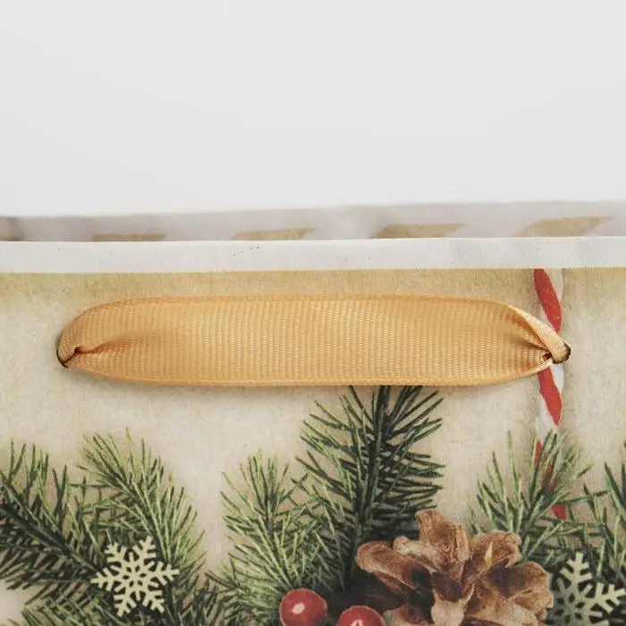 Пакет подарочный новогодний крафтовый «Поздравляю с Новым годом!», ML 23 х 27 х 8 см Пакет подарочный новогодний крафтовый «Поздравляю с Новым годом!», ML 23 х 27 х 8 см