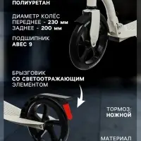 Самокат городской GRAFFITI Cruiser 230, складной, колёса PU 230/200 мм, ABEC 9 Carbon, цвет белый