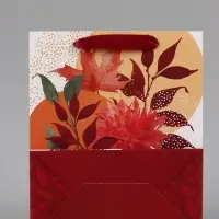 Подарочный набор &laquo;Учитель&raquo;, пакет и открытка, ML 27 &times; 23 &times; 11,5 см
