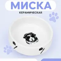 Миска для грызунов &laquo;Чёрно-белый&raquo;, 80 мл, 8,5&times;8,5&times;2,5 см, керамика, белая