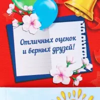 Диплом выпусника "Об окончании 1 го класса", 19х11х0,9 см, набор 5 шт Диплом выпусника "Об окончании 1 го класса", 19х11х0,9 см, набор 5 шт