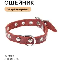 Ошейник кожаный тисненый однослойный, 29&times;1.2 см, безразмерный, микс цветов