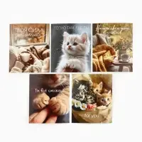 Набор мини-открыток в коробке со скрепками «Котики», 35 штук, 8 x 10 см Набор мини-открыток в коробке со скрепками «Котики», 35 штук, 8 x 10 см