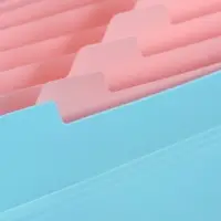 Папка А4 Haze, 12 отделений, 600 мкм, на кнопке, голубая