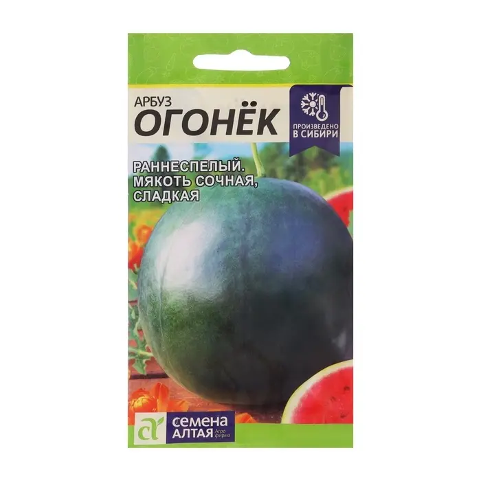 Семена Арбуз &laquo;Огонёк&raquo;, 1 г, &laquo;Семена Алтая&raquo;