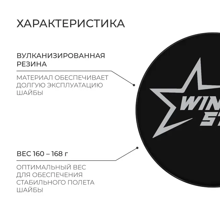 Шайба хоккейная Winter Star, взрослая, d=7.6 см