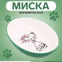 Блюдце &laquo;Милая киса&raquo;, 200 мл, 15.7&times;11.3&times;3.8 см, керамика, зелёная, белая