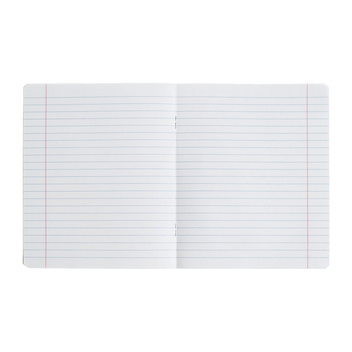 Комплект тетрадей из 10 штук, 18 листов в линию Calligrata "Однотонная Классика Линовка", обложка мелованная бумага, ВД-лак, блок офсет, 5 видов по 2 штуки