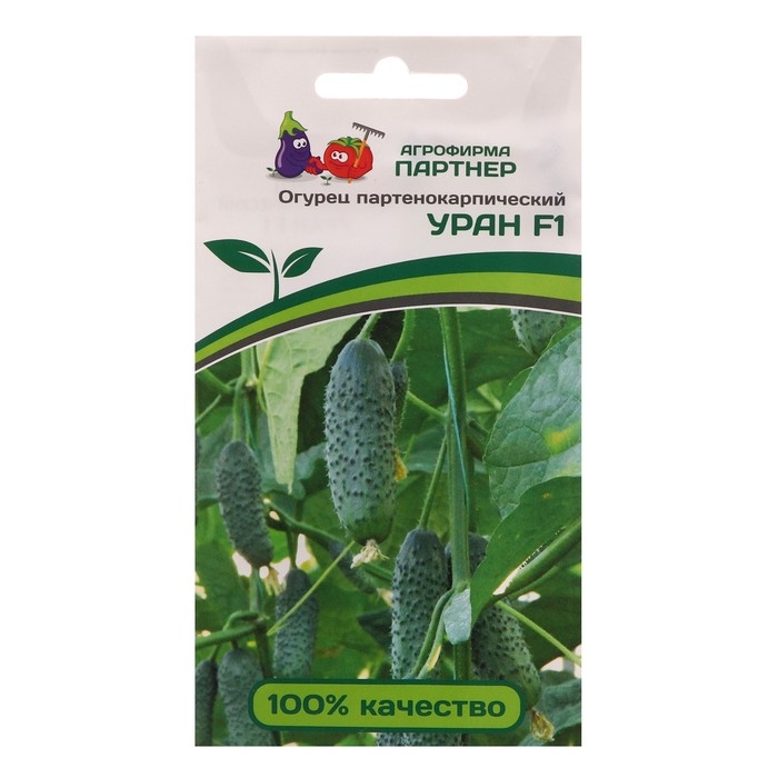 Семена огурец партенокарпический Семена огурец партенокарпический "Уран" F1, 5 шт.