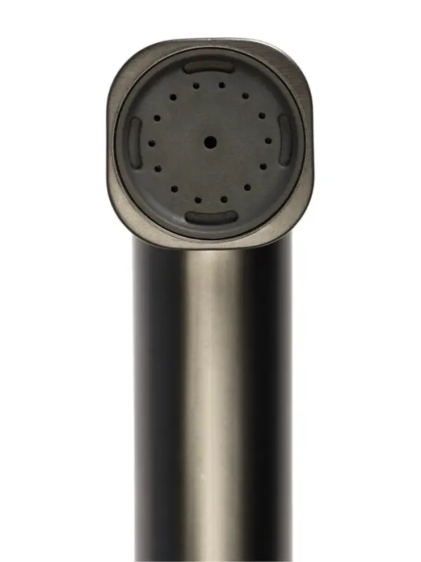 Гигиеническая лейка Accoona AF30501ST