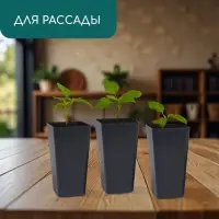 Горшок для рассады, 600 мл, 8&times;8&times;15 см, пластик, МИКС, Greengo