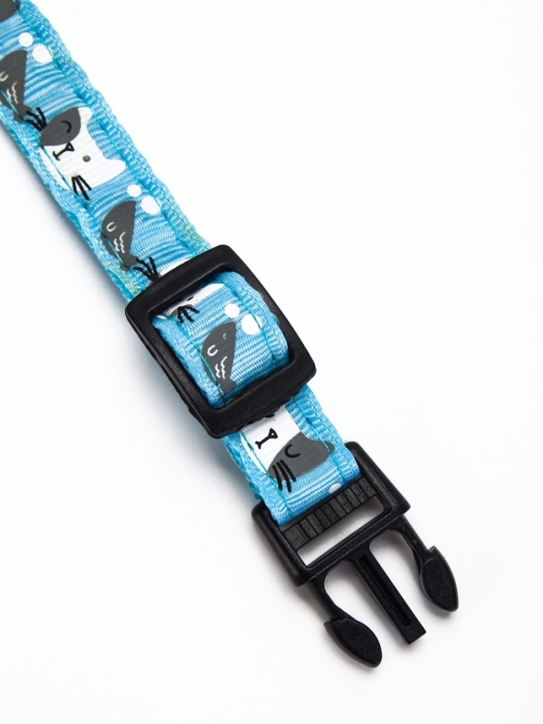 Ошейник Ошейник "Котята", 40 х 1,5 см, голубой