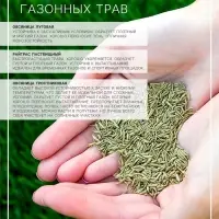 Газонная травосмесь &laquo;Гринкипер&raquo;, &laquo;Зимостойкая&raquo;, 1 кг