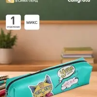 Пенал школьный Calligrata &laquo;Прикольный кот&raquo;, на молнии, 1 отделение, с принтом, в стиле поп-арт, МИКС