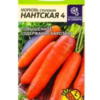 Семена Морковь &laquo;Нантская 4&raquo;, 2 г, &laquo;Семена Алтая&raquo;