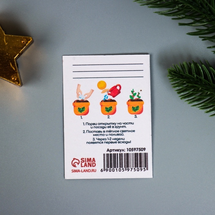 Набор открыток с семенами  Набор открыток с семенами "Вырасти сам" "Удачи" 5*7см 3 шт