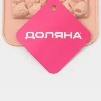Форма для шоколада "Малина" 21x10x1 см