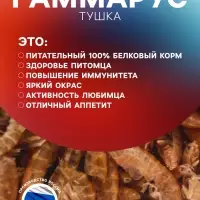 Корм для рыб и черепах &laquo;Пижон&raquo; гаммарус тушка, ведро, 2 л