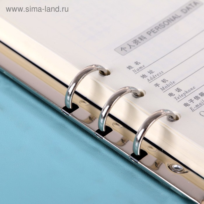 Органайзер на кольцах А5, 90 листов в линейку, с хлястиком, МИКС Органайзер на кольцах А5, 90 листов в линейку, с хлястиком, МИКС