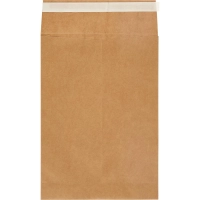 Пакет крафт B4 стрип Largepack250х353х40 120г 200шт/уп/6306