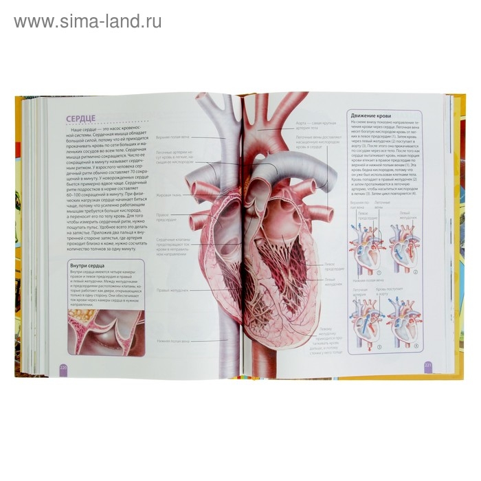 Большая энциклопедия школьника «Как это работает?» Большая энциклопедия школьника «Как это работает?»
