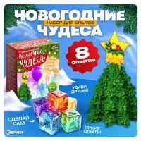 Набор для опытов &laquo;Новогодние чудеса&raquo;, 8 опытов