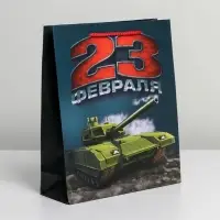 Пакет подарочный ламинированный, упаковка, &laquo;С 23 февраля&raquo;, ML 25&times;21&times;8 см