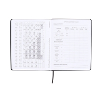 Дневник школьный 1-11 класс, deVENTE. No Disturb Mode, искусственная кожа, шелкография