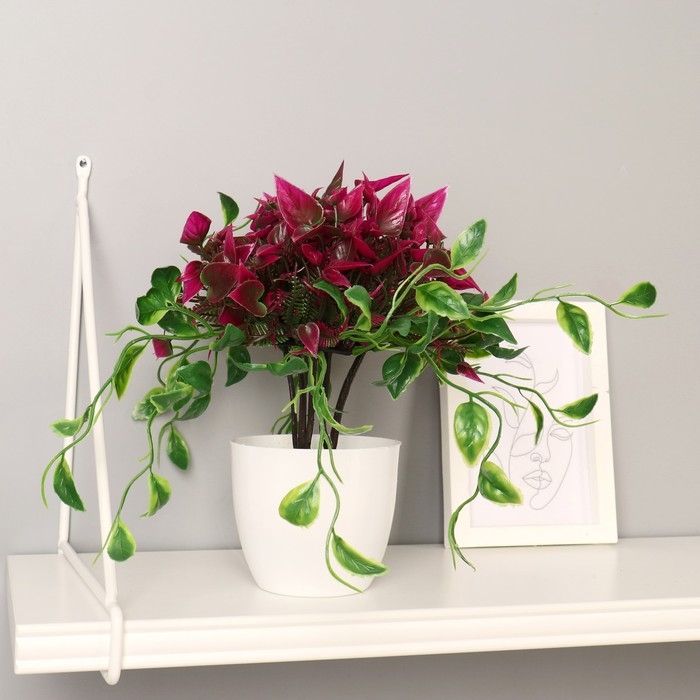 Бонсай Бонсай "Эпипремнум" 9х25 см, микс