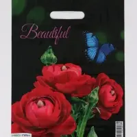 Пакет "Прекрасный букет , полиэтиленовый с вырубной ручкой 30х40 см, 60 мкм Пакет "Прекрасный букет , полиэтиленовый с вырубной ручкой 30х40 см, 60 мкм