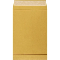 Пакет в упаковке крафт С4 стрип Extrapack 229х324 100г 250шт/уп/6541