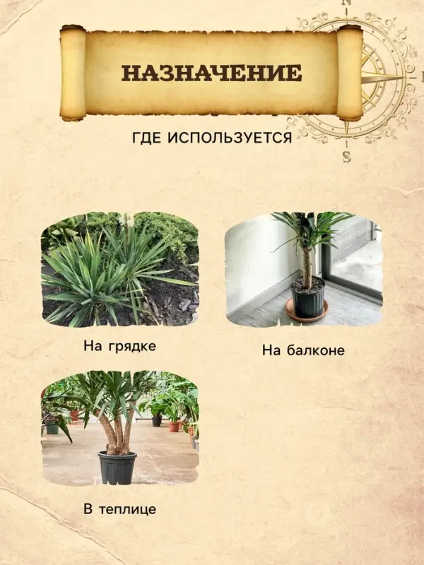 Грунт для Юкки и Драцены PETER PEAT, линия &laquo;Хобби&raquo;, 2.5 л