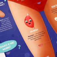 Книга - раскладушка детская «Как устроено моё тело», 40 окошек