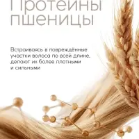 Подарочный набор &laquo;Восстановление&raquo;: шампунь 250 мл, бальзам 250 мл, URAL LAB