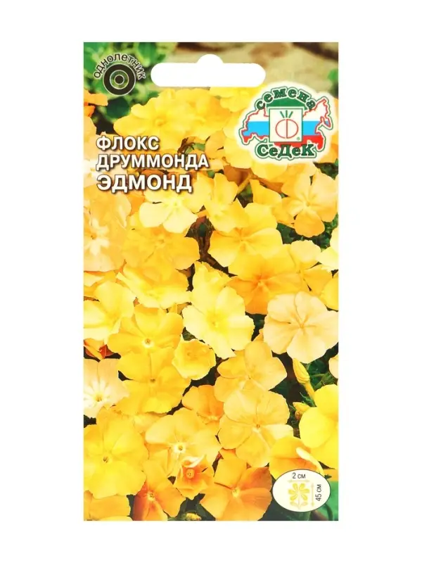 Семена цветов Флокс  Семена цветов Флокс "Эдмонд", Евро, 0,2 г