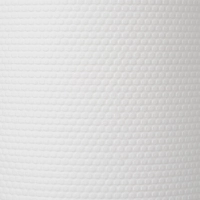 Материал протирочный нетканый Luscan Professional 80г 32х38см 280л/рул бел