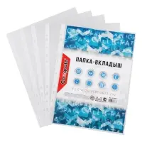 Файл - вкладыш Calligrata, А4, глянцевый, вертикальный, 100 штук, эконом