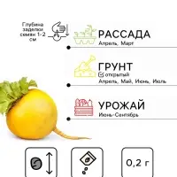 Семена Репа "Петровская 1", ц/п,  0,2  г  серия ХИТ х3