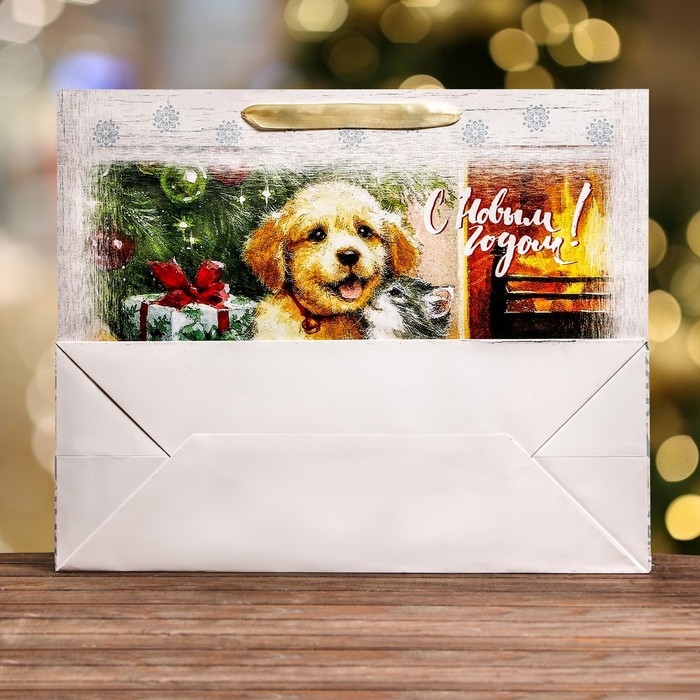 Новый год. Пакет ламинированный горизонтальный "Друзья",49 х 40 х 19 см.