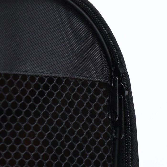 Сумка - переноска для животных  Сумка - переноска для животных "Принт", размер M, 43 х 27 х 30 см, клаксы