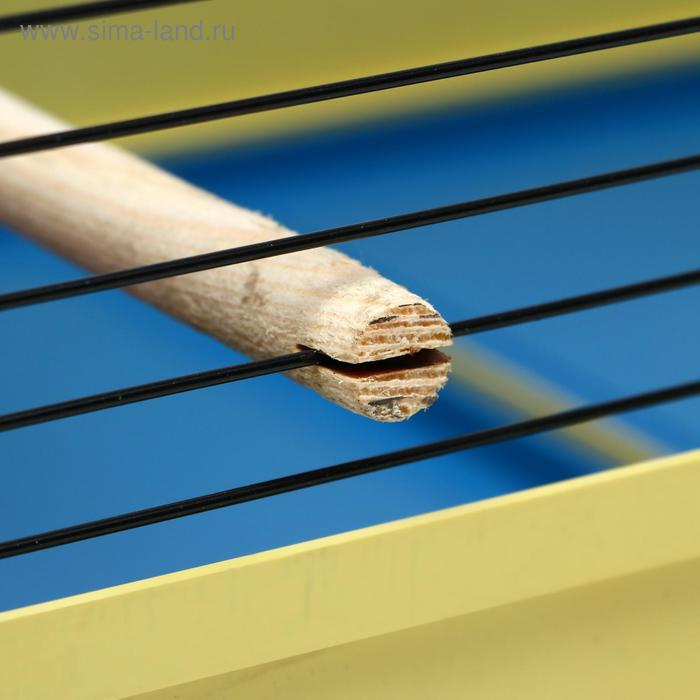 Клетка для птиц Клетка для птиц "Грация", 49 х 36 х 37 см, микс цветов