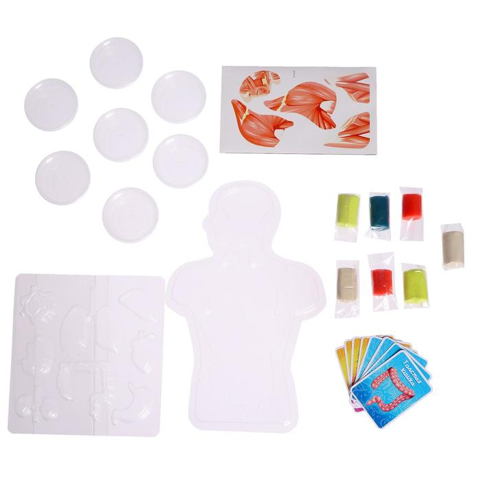 Набор для опытов «Моё удивительное тело» Набор для опытов «Моё удивительное тело»