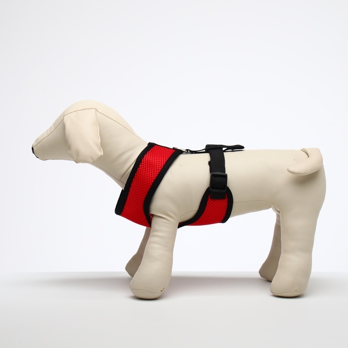 Шлейка мягкая из неопрена, размер M, ОШ 34 см, ОГ 32-42 см, красная Шлейка мягкая из неопрена, размер M, ОШ 34 см, ОГ 32-42 см, красная