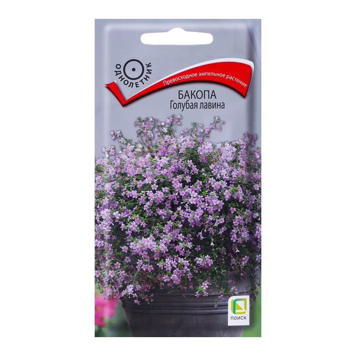 Семена цветов Бакопа  Семена цветов Бакопа "Голубая лавина", 5шт