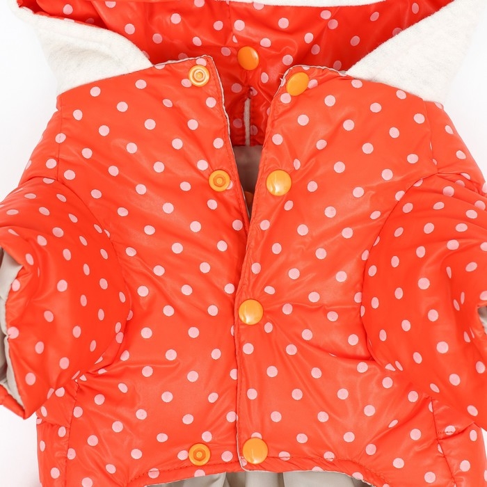 Комбинезон  Комбинезон "Для прогулки", размер 8 (ДС 19 см, ОГ 30, ОГ 22 см), оранжевый