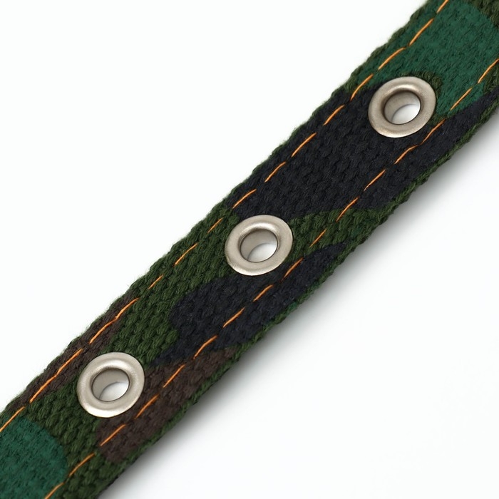 Ошейник брезентовый двухслойный Ошейник брезентовый двухслойный "Камуфляж", 52 х 2 см