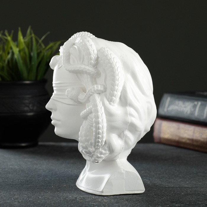 Кашпо - органайзер Кашпо - органайзер "Горгона Медуза" белая, 12,5х16х10,5см