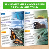 Обучающие книги набор «Удивительный мир» 6 шт. по 20 стр.