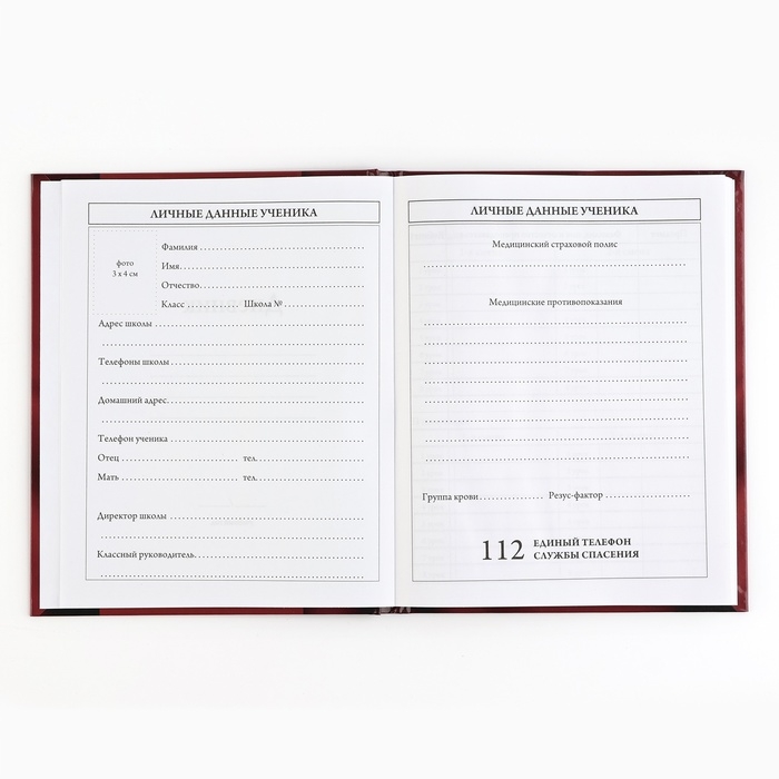 Дневник школьный 5-11 класс, в твердой обложке, 48 л. «Патриотический» Дневник школьный 5-11 класс, в твердой обложке, 48 л. «Патриотический»