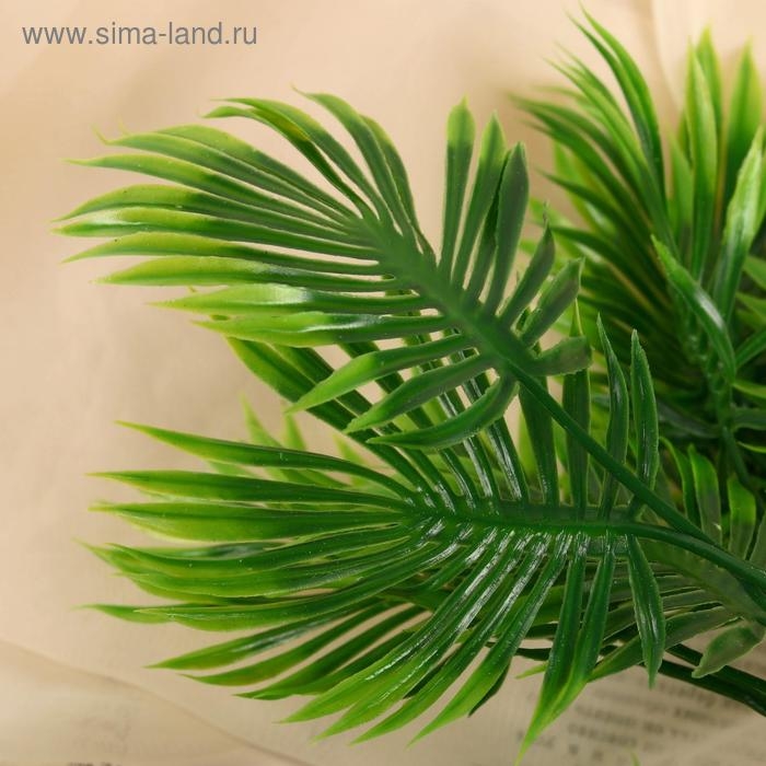 Букет  Букет "Дипсис" 30 см